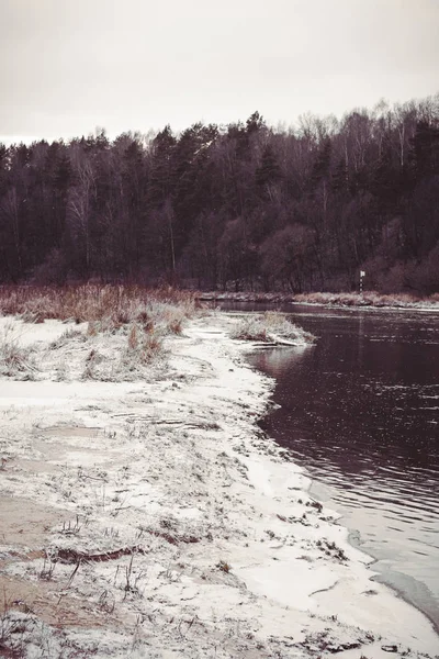 Téli erdő, folyó, hó, hideg, újév — Stock Fotó