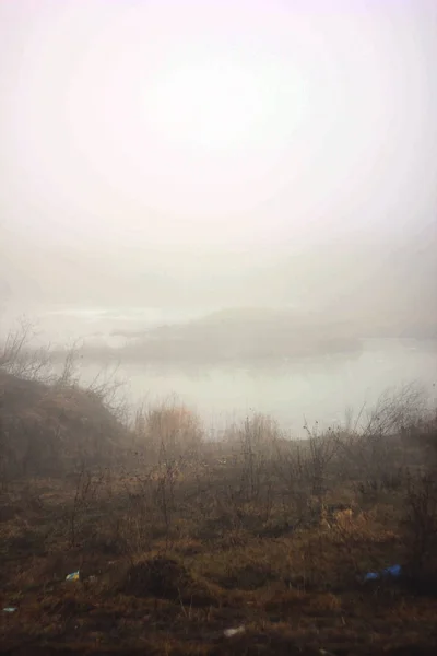 A tó és a fű a ködben — Stock Fotó