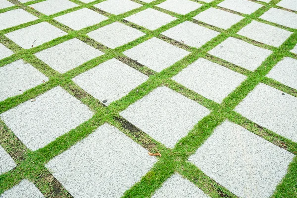Pavimentazione in cemento quadrato in giardino — Foto Stock