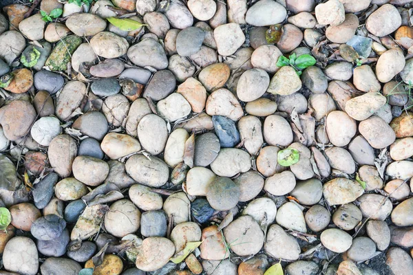 Small stones in the park background — Stock Photo, Image