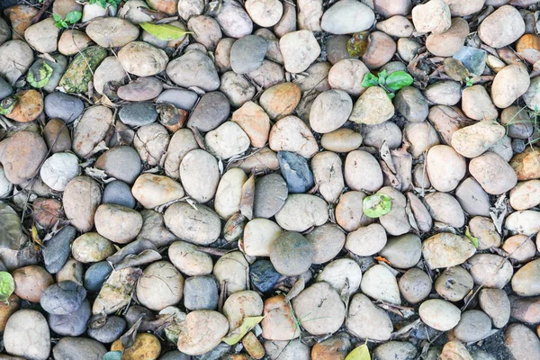 Kleine stenen op de achtergrond van het park — Stockfoto