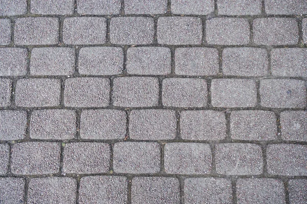 Close up brick concrete texture — Stock Photo, Image