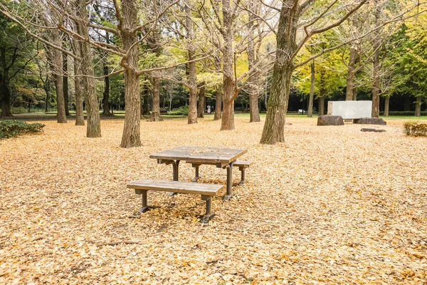 Banc en bois dans le parc avec des feuilles tombantes sur le sol — Photo