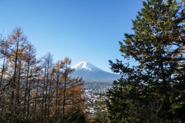 Sabah Shimoyoshida Chureito pagoda önünde ağaca ile dağ Fuji