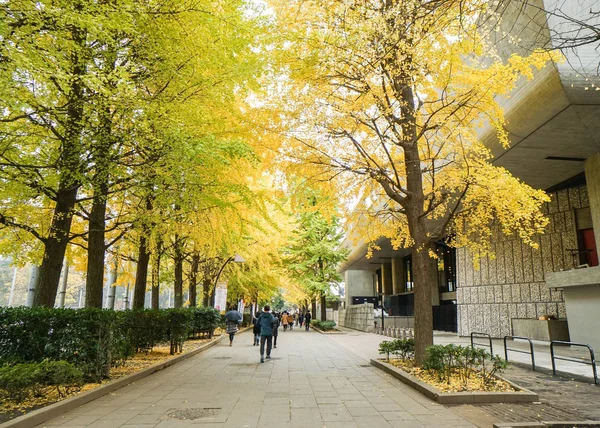 Les gens marchent à travers les ginkgo deviennent jaunes pris dans le parc Ueno le 3 Décembre 2016 — Photo