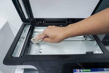 ışık yeşil bitki doku arka kapatmak