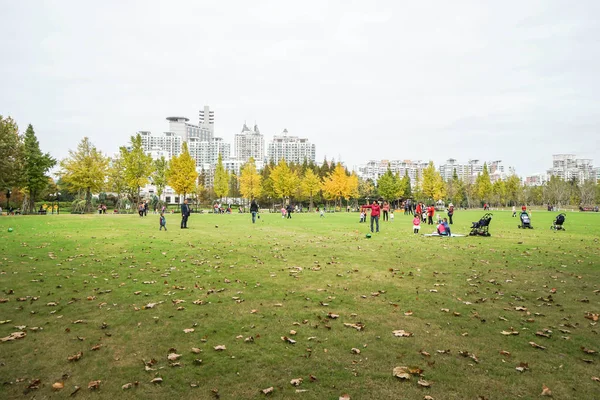 Şanghay, Çin'üzerinde 15 Kasım 2016 alınan Park aile zaman — Stok fotoğraf