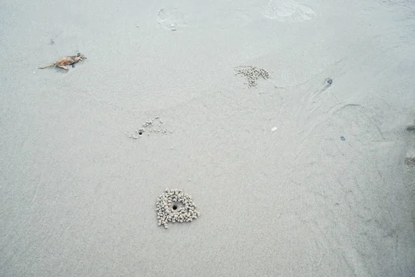 Cerca de textura de arena en la orilla del mar —  Fotos de Stock