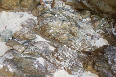 kum kıyı şeridi, taşla kapatın