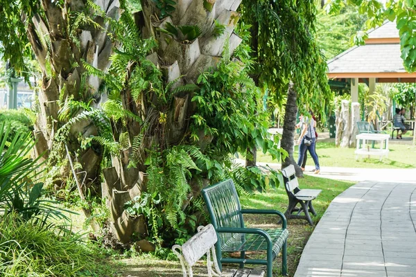 Πράσινο Πάγκο Δημόσιο Πάρκο Καθίσετε Για Χαλάρωση — Φωτογραφία Αρχείου