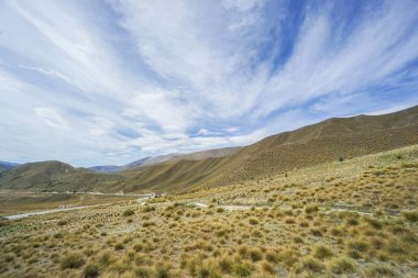 Bulutlu mavi gökyüzü ile Yeni Zelanda Lindis Pass alan üzerinde Baharda çimen