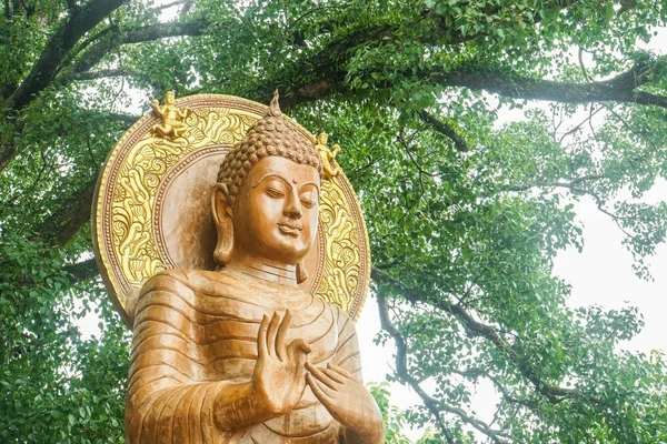 Utomhus Utsökta Buddha Bild Med Gigantiska Träd Bakgrund — Stockfoto