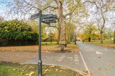 Hyde Park Londra'nın yön tabelasını sonbaharda düşen ağaçlar ile