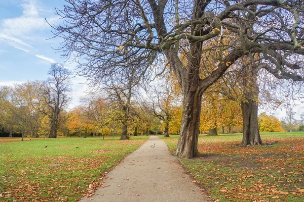 Sentier Avec Arbre Sans Feuilles Hyde Park Londres Automne — Photo