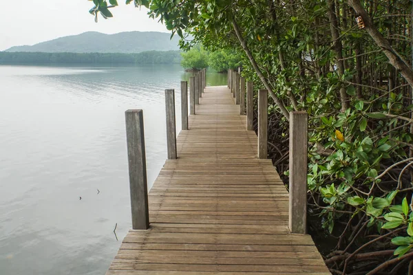 Wood Pieces Walkway River Mangrove Forest — Stock Photo, Image