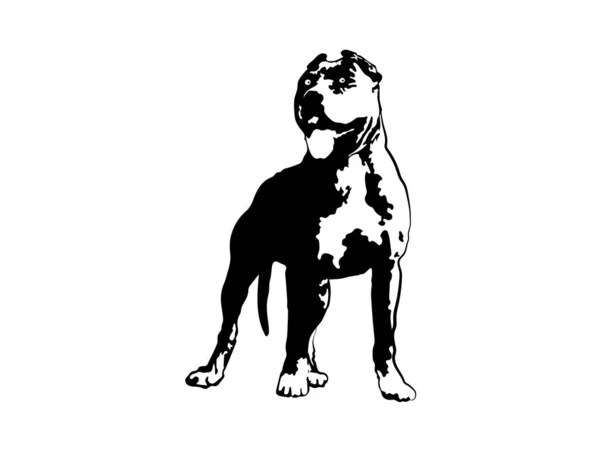 Taureau américain Pitbull Bully Staffordshire Terrier Pit Taureau Chien Pitbull Chien Logo Noir Vecteur Coupe de Cricut — Image vectorielle