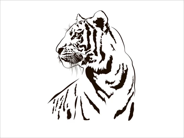 Tiger Big Cat Leopard Lion Pantera Yaguar Wild Black White Face Ritratto Natura .Svg .Eps .Png Clipart Vector Tattoo Cricut Taglio — Vettoriale Stock