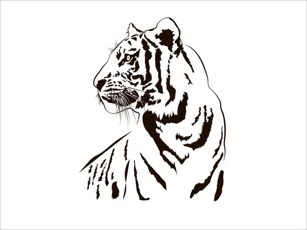 Kaplan Büyük Kedi Leopar Aslan Pantera Yaguar Vahşi Siyah Beyaz Yüz Portre Doğası Eps. Png Clipart Vector Vtoo Critoo Kesme