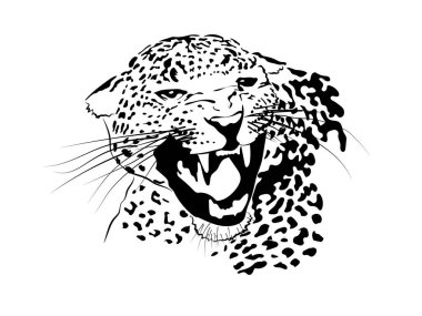 Leopar Jaguar Kaplanı Büyük Kedi Yırtıcı Logo. Eps. Png Vektör Kriket Kesimi