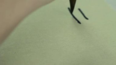 Hat. Hiyeroglif Zhuangshu tekniği 