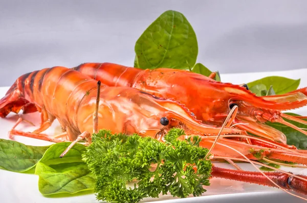 Izgara nehir ıstakoz