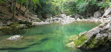 bir ormandaki nehir dağ
