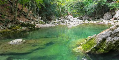 bir ormandaki nehir dağ