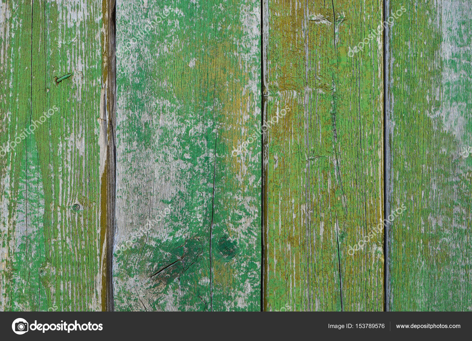 Забор покрасили зеленой краской