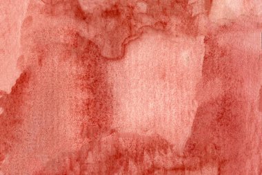 Ağ için, dekorasyon. Parlak kırmızı sanatsal resim. Web Tasarımı