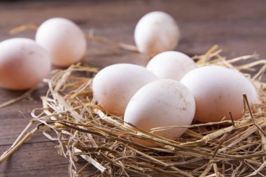 Sabah ışıklı masada yuvadaki yakın çekim.