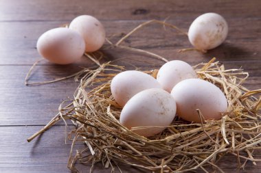 Stüdyo ışık tablo yuvadaki yumurta.