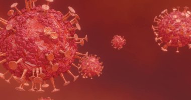 Virüs bulaşmış organizmalarda bir grup virüs. Corona Virüsü