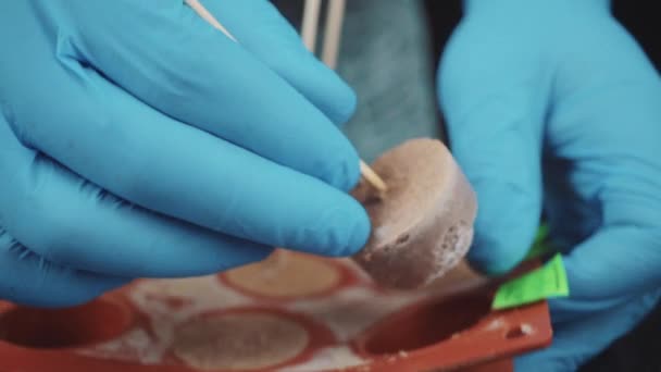 Close-Up bir pate hazırlanıyor bir pasta şefi — Stok video
