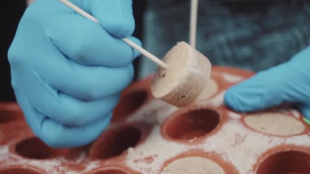 Крупный план кондитера, готовящего паштет — стоковое видео