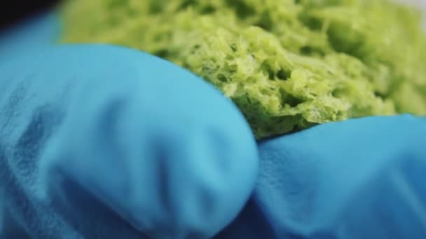 Förbereder en svamp från molekylära köket — Stockvideo