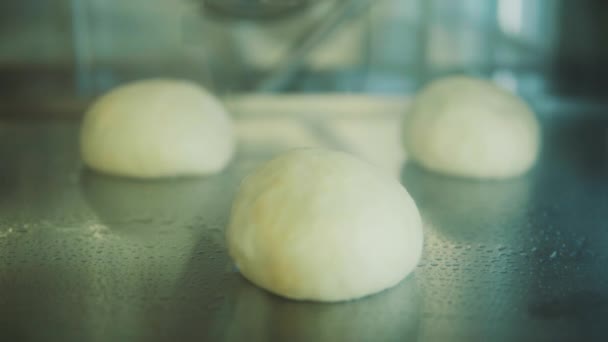 Bäcker backt Brötchen im Ofen — Stockvideo