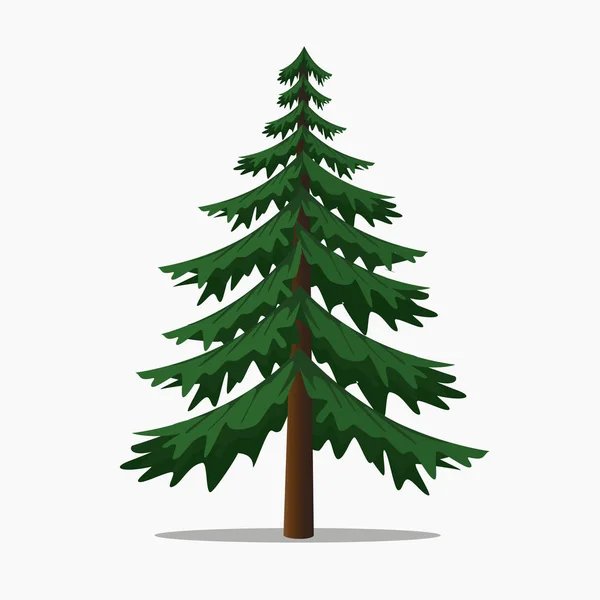 Pine Tree Vector Illustration.Isolated grote spar. — Stockvector