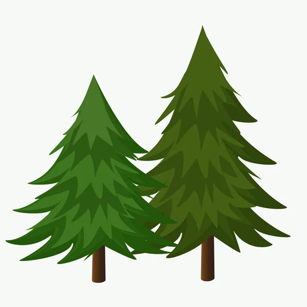 Pinhais Vector Illustration.Coniferous Árvore . —  Vetores de Stock