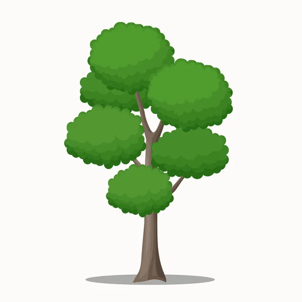 Grote en hoge boom vectorillustratie voor Park en bos scène. — Stockvector