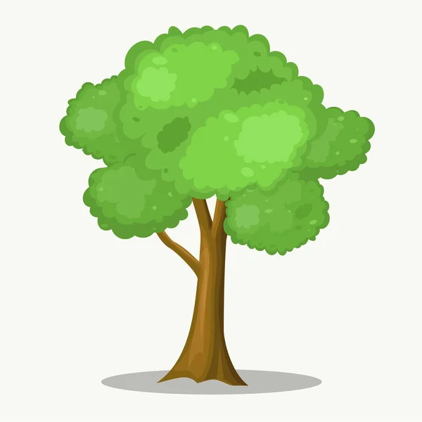 Illustration de grand arbre pour la scène de parc et de forêt . — Image vectorielle