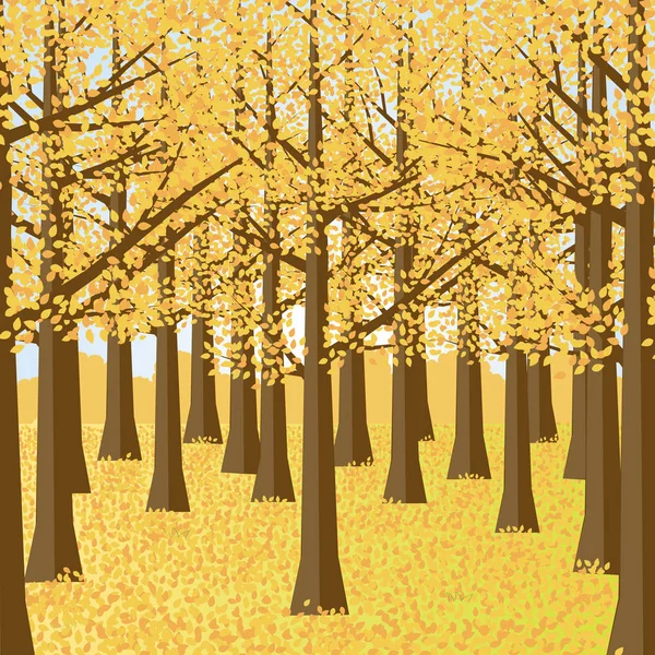 Paysage forestier d'automne.Jardin d'automne . — Image vectorielle