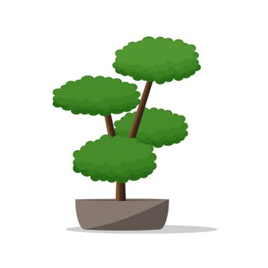 Dekoratif bitki üzerinde Pot.Artistic saksı.