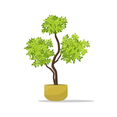 Dekoratif bitki Pot illüstrasyon üzerinde.