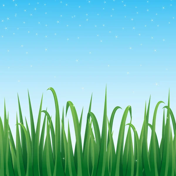 Bordo verde erba con sfondo cielo blu scintillante . — Vettoriale Stock