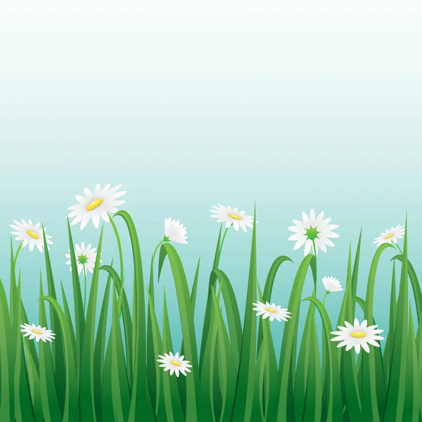Gras en witte bloemen grens met blauwe hemelachtergrond. — Stockvector