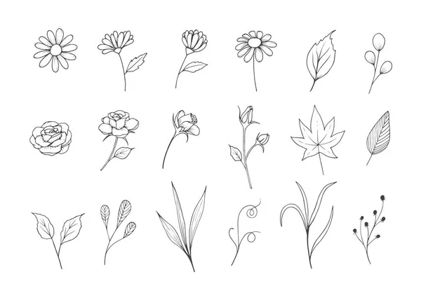 Χειροποίητη Floral Εικονογράφηση Ασπρόμαυρη Γραμμή Λευκό Φόντο Ποικιλία Λουλούδι Και — Διανυσματικό Αρχείο