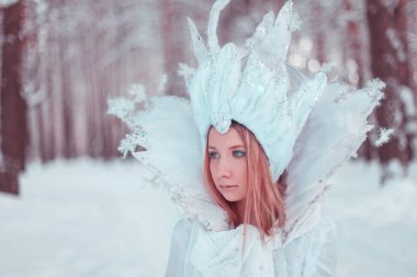 Görüntü kar kraliçesi. Kış orman içindeki kız. Kar, kış, kar fırtınası, orman, kız kış yolunda.