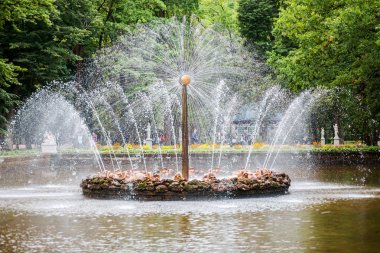 Peterhof. Saint Petersburg 21.08.2017. Çeşmeler.