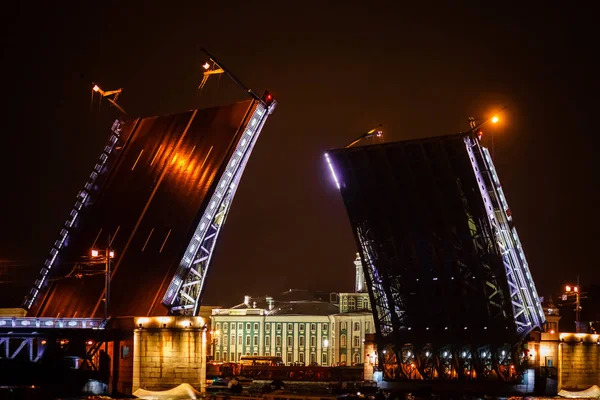 Rússia São Petersburgo 2017 Drawbridge Ponte Palácio Cidade Noturna — Fotografia de Stock