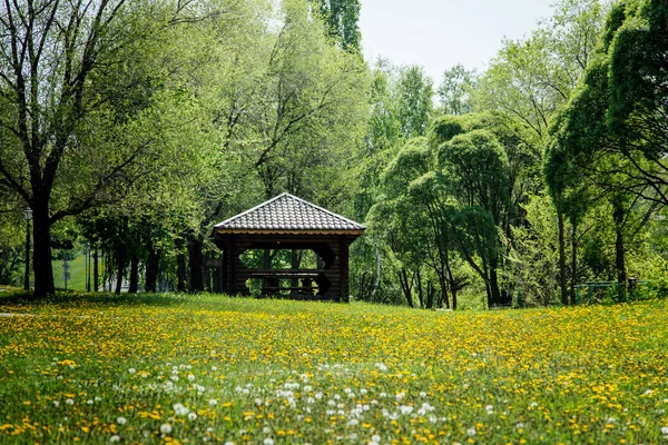 Summer, glade, flowers, dandelions, a wooden gazebo, a landscape, trees, sunlight.